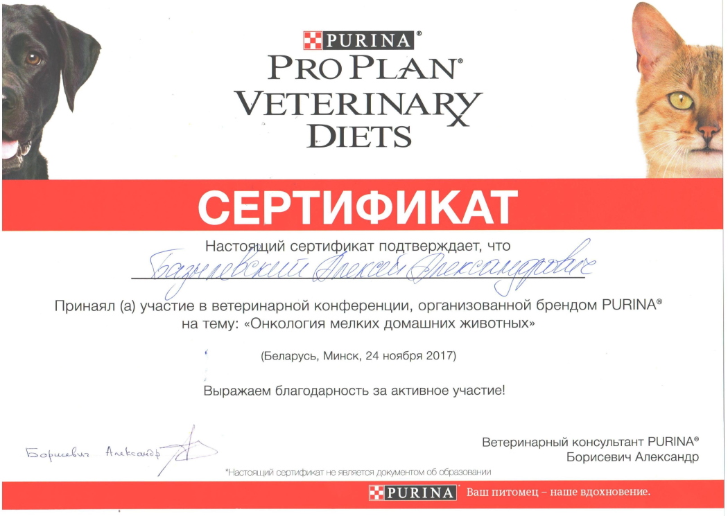 sertifikat-bazylevskiy-aleksey-aleksandrovich-10