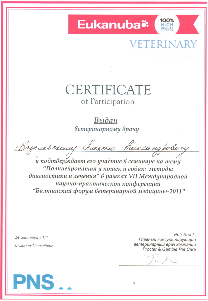 sertifikat-bazylevskiy-aleksey-aleksandrovich-15