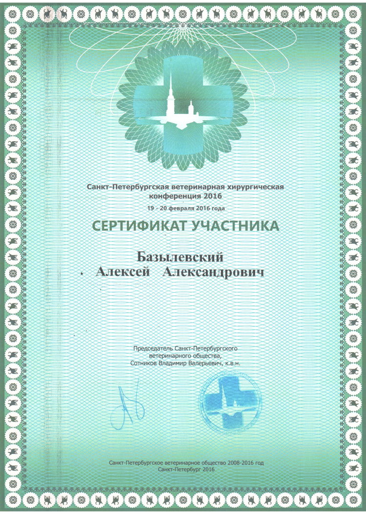 sertifikat-bazylevskiy-aleksey-aleksandrovich-19