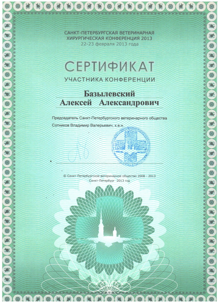 sertifikat-bazylevskiy-aleksey-aleksandrovich-27