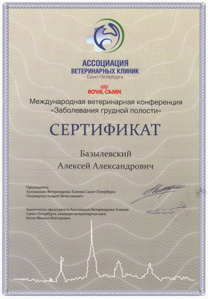sertifikat-bazylevskiy-aleksey-aleksandrovich-28