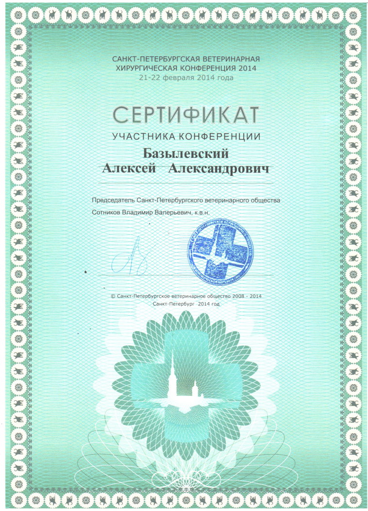 sertifikat-bazylevskiy-aleksey-aleksandrovich-29