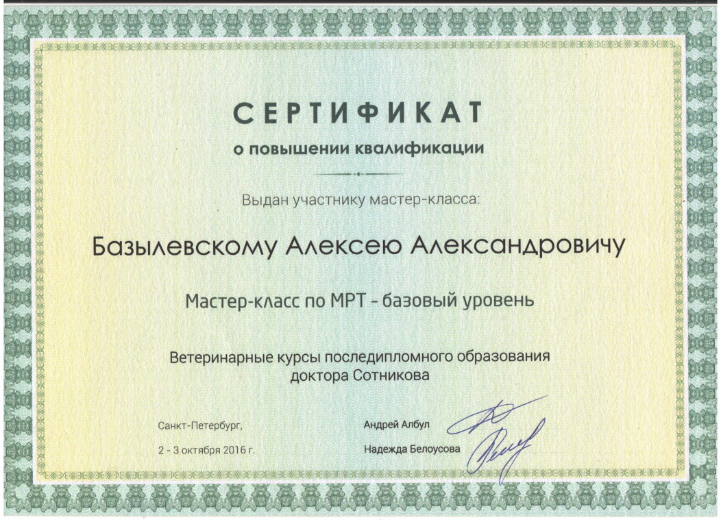 sertifikat-bazylevskiy-aleksey-aleksandrovich-35