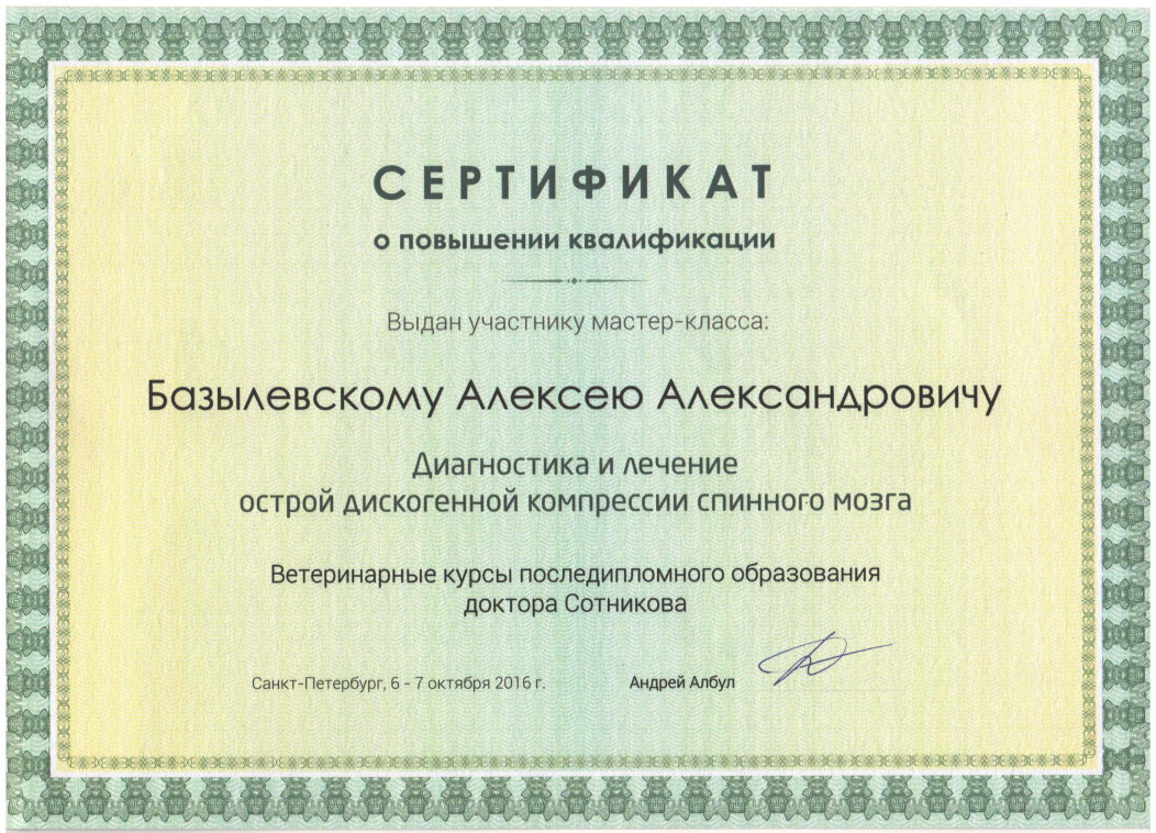 sertifikat-bazylevskiy-aleksey-aleksandrovich-36
