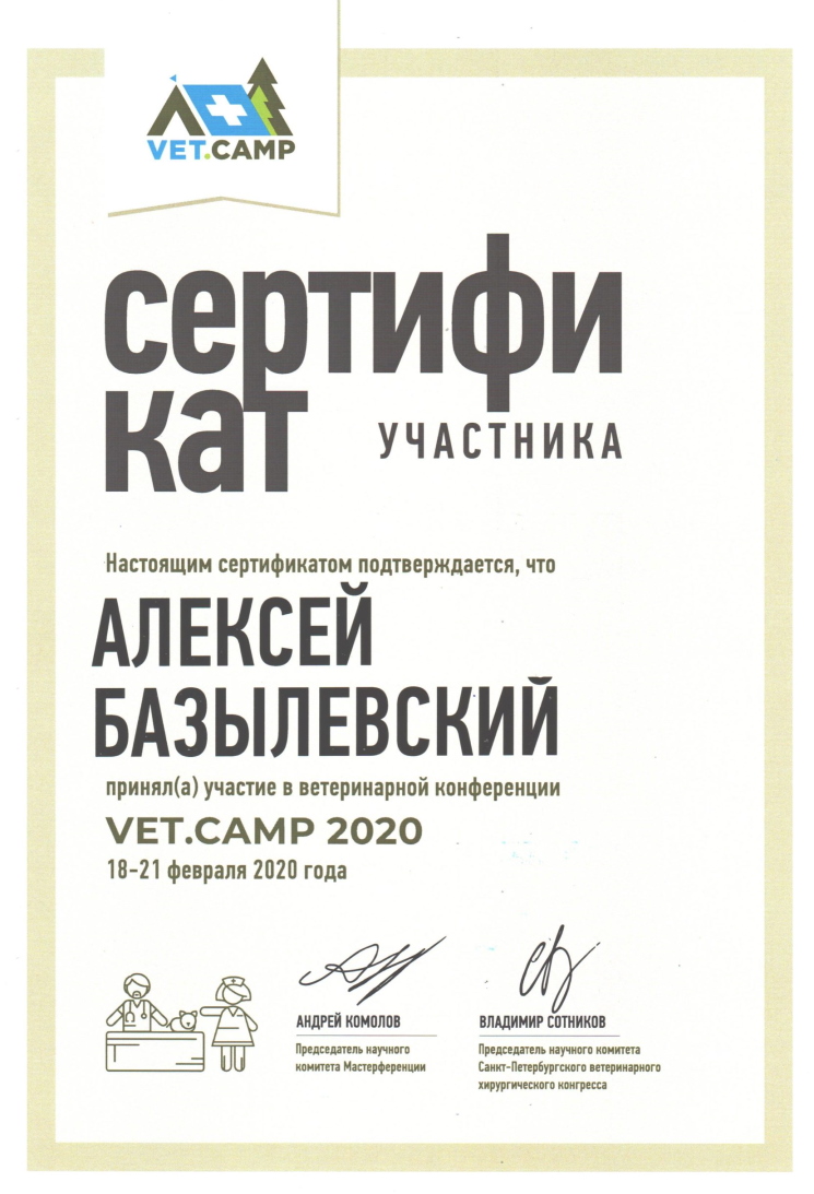 sertifikat-bazylevskiy-aleksey-aleksandrovich-4