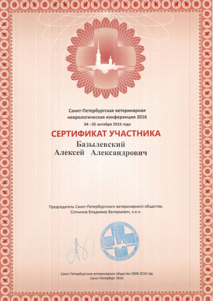 sertifikat-bazylevskiy-aleksey-aleksandrovich-46
