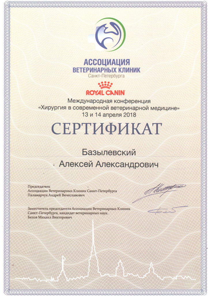 sertifikat-bazylevskiy-aleksey-aleksandrovich-5