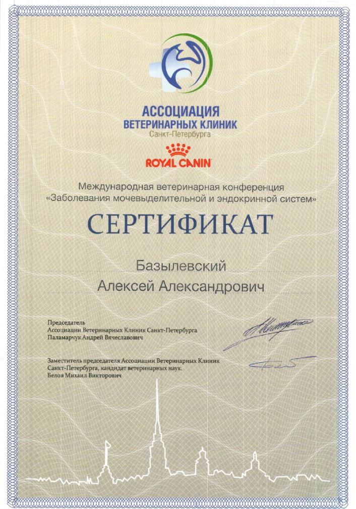 sertifikat-bazylevskiy-aleksey-aleksandrovich-55
