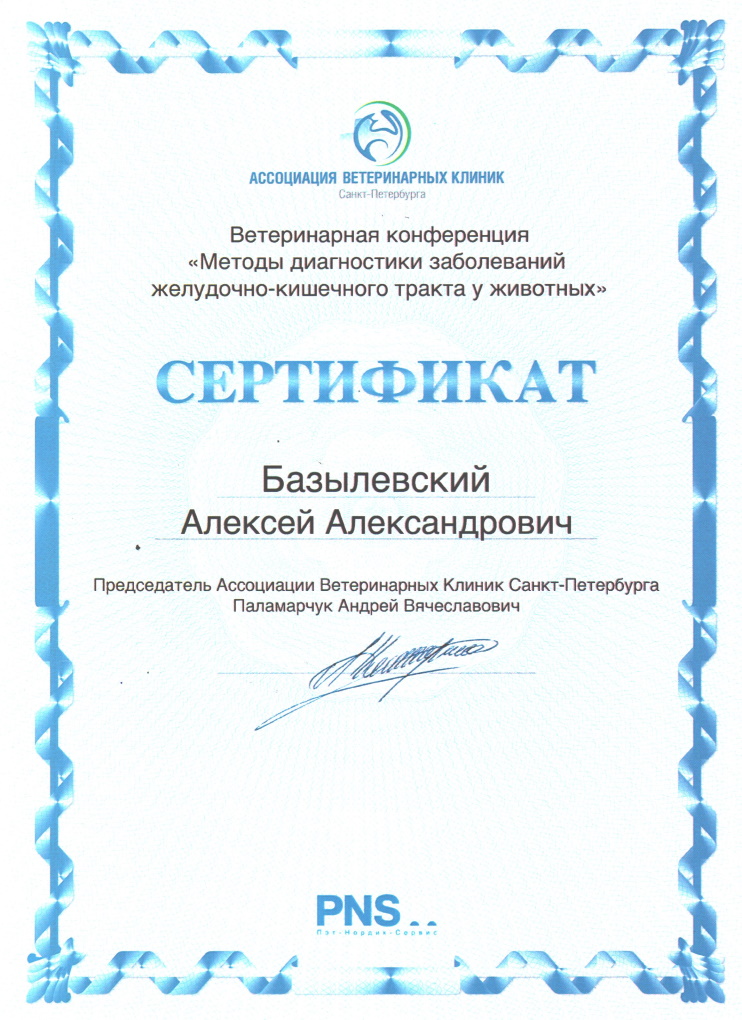 sertifikat-bazylevskiy-aleksey-aleksandrovich-7