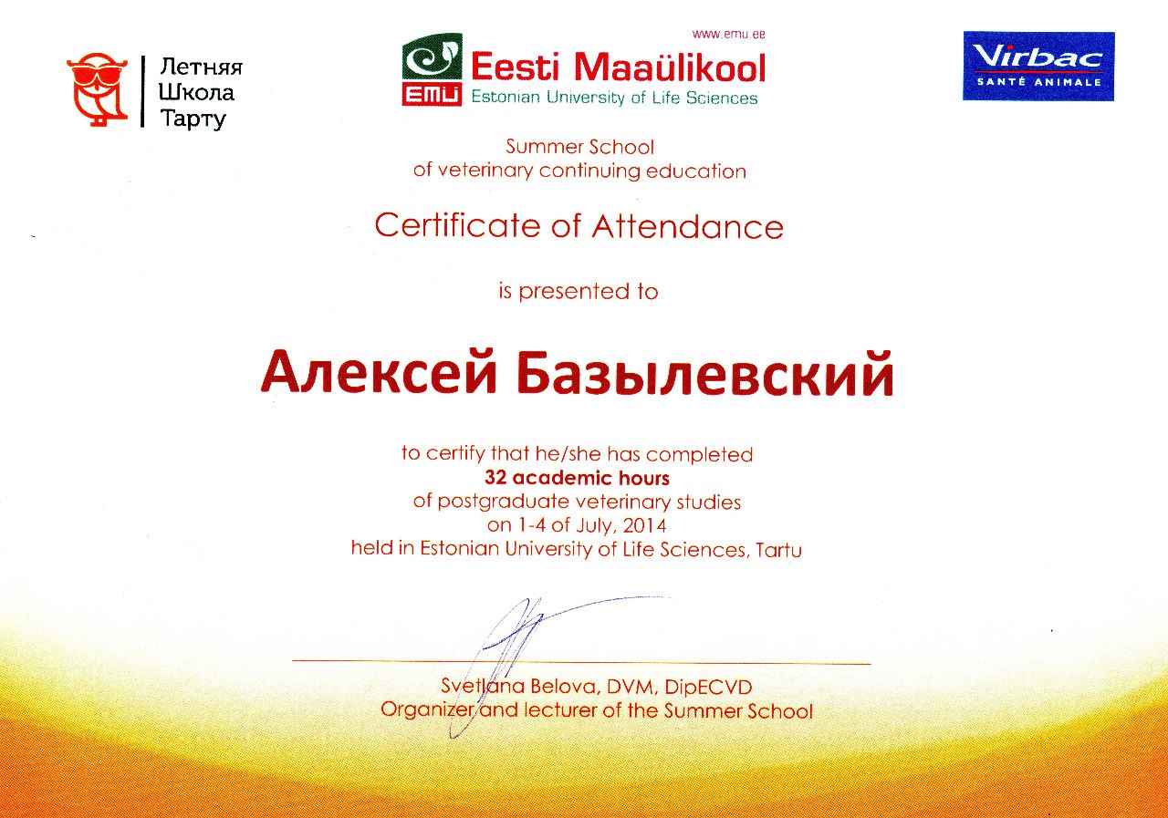 sertifikat-bazylevskiy-aleksey-aleksandrovich-8