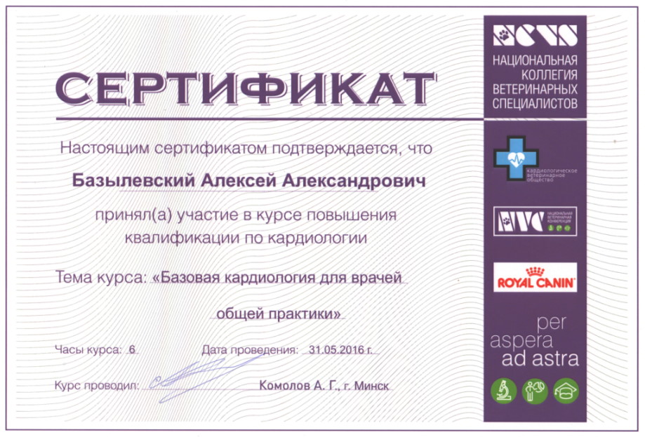 sertifikat-bazylevskiy-aleksey-aleksandrovich-9