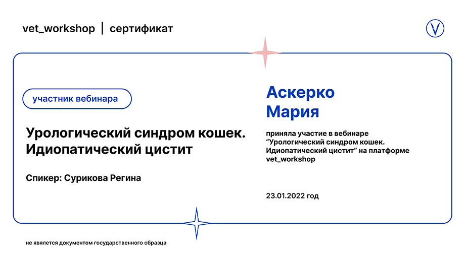 askerko-mariya-vyacheslavovna-urologicheskiy-sindrom-koshek
