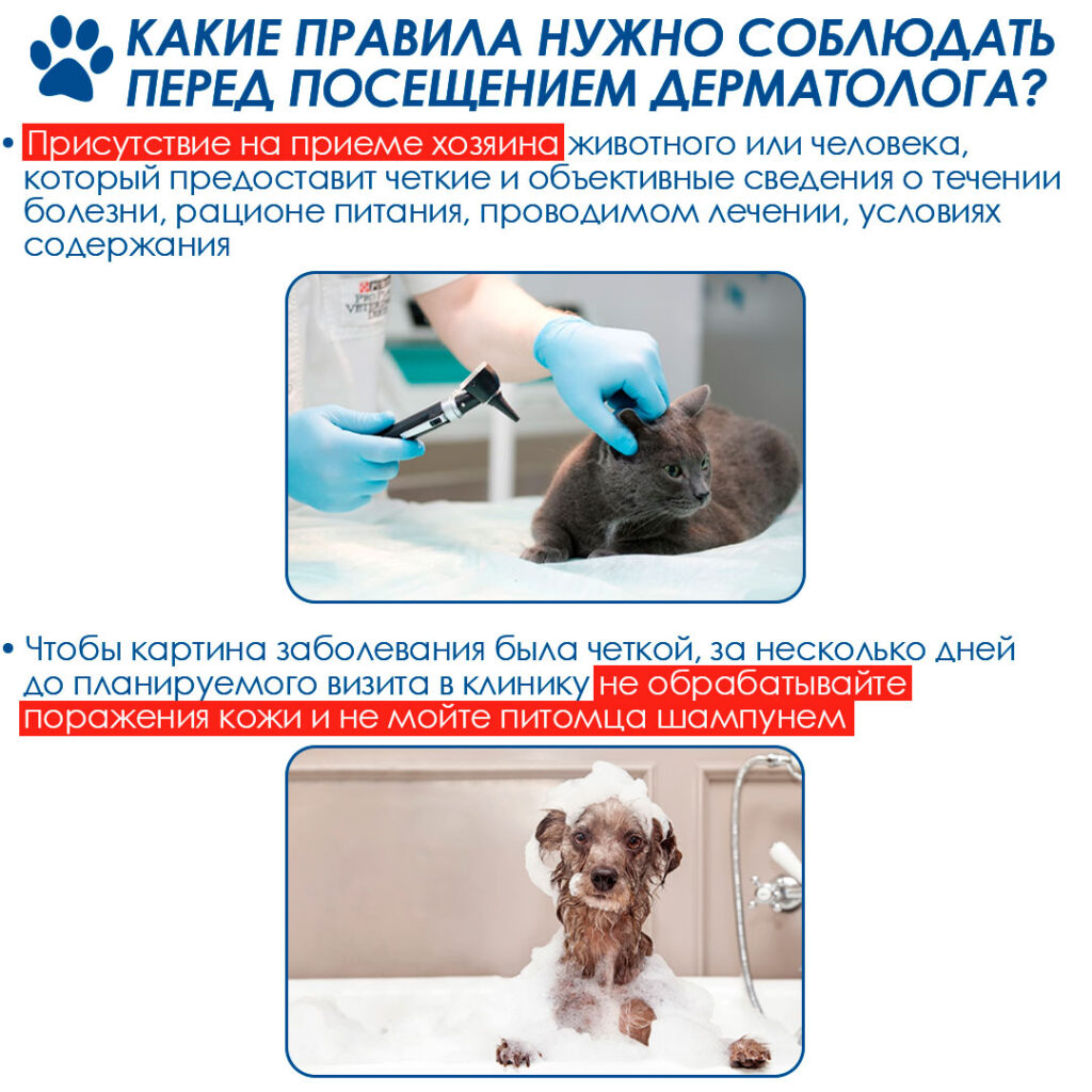 kogda-obrashchatsya-k-dermatologu-3-1024x1024