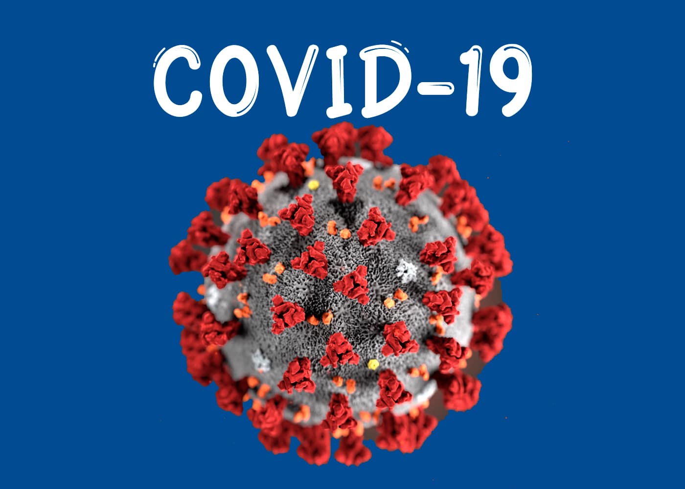 Животные и коронавирусная болезнь 2019 года (COVID-19)