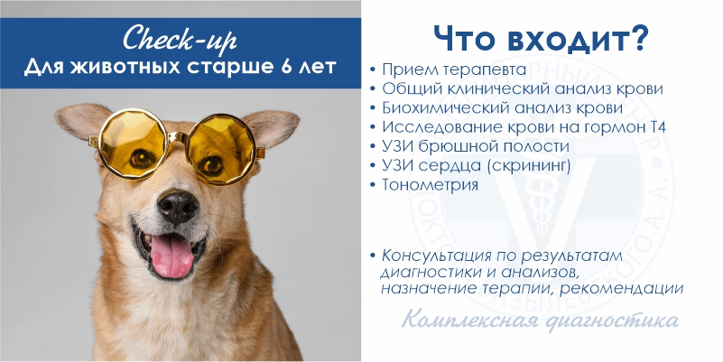 kompleks-dlya-koshek-starshe-6-let-veterinarnyy-centr