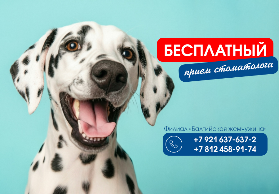 besplatnyy-priem-stomatologa