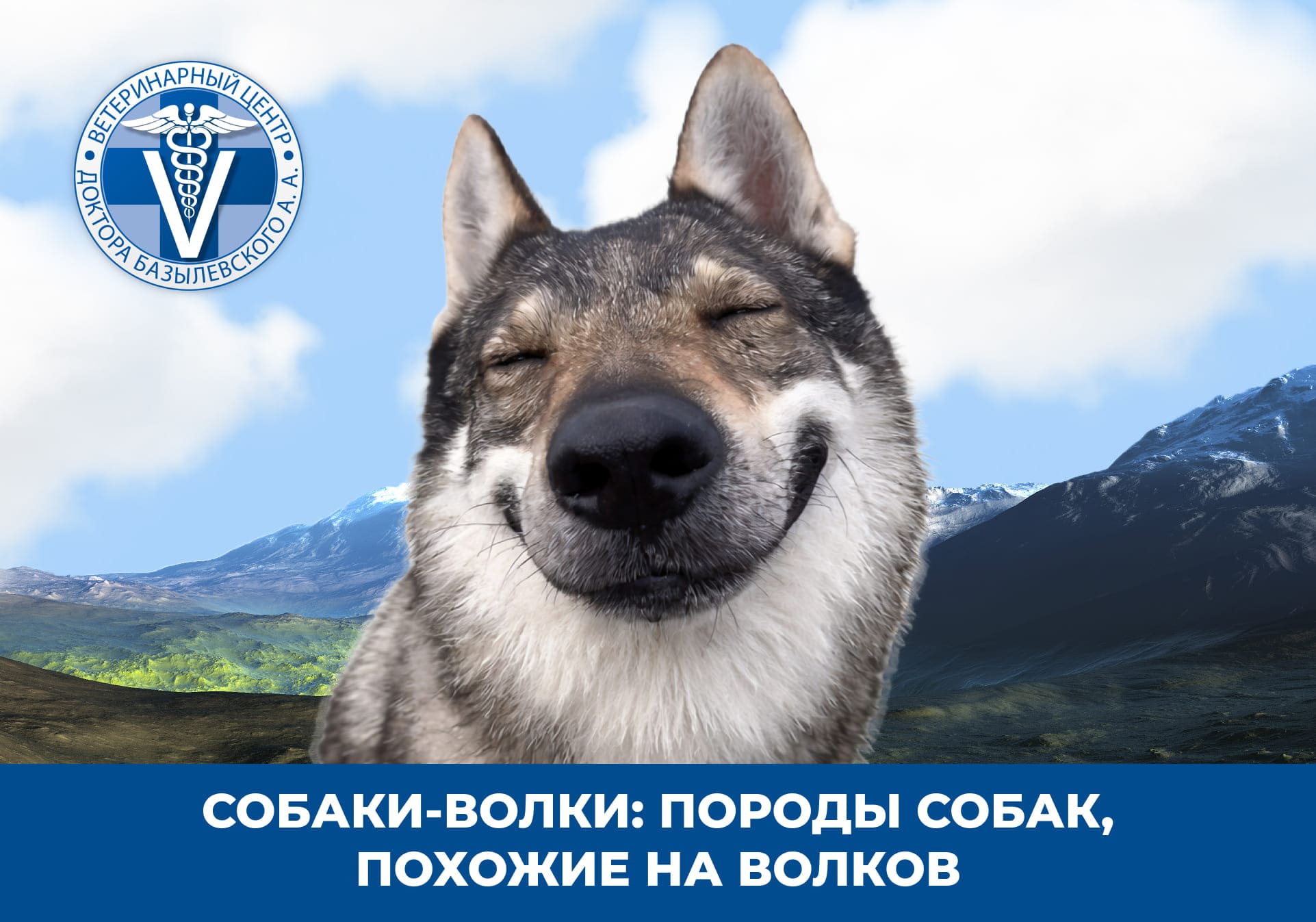 собака улыбается