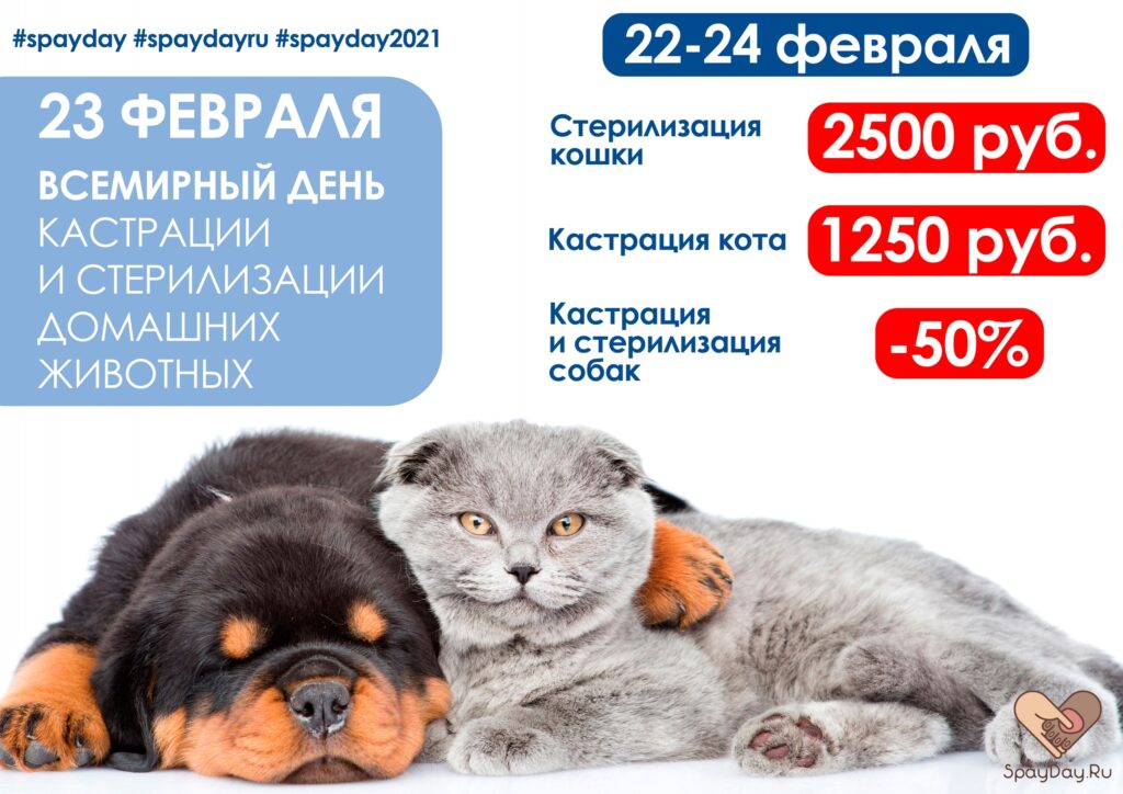 vsemirnyy-den-sterilizacii-i-kastracii-zhivotnyh-2021-1
