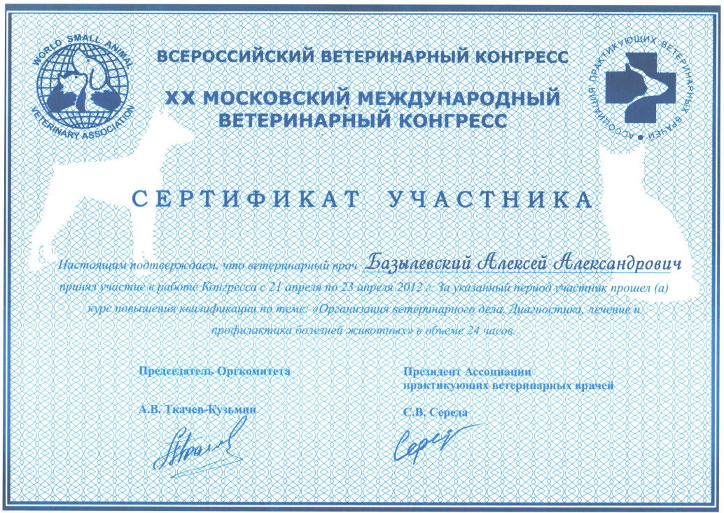 sertifikat-bazylevskiy-aleksey-aleksandrovich-2