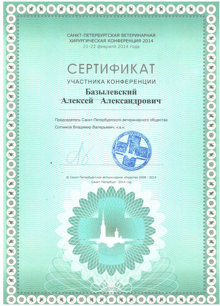 sertifikat-bazylevskiy-aleksey-aleksandrovich-29