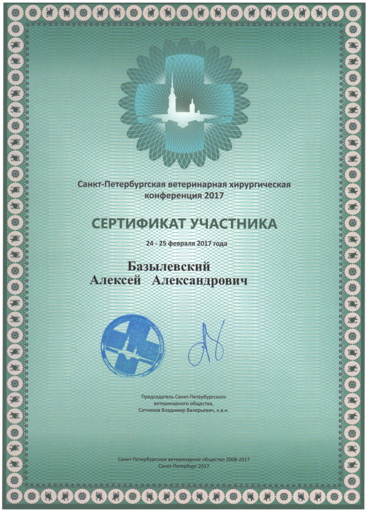 sertifikat-bazylevskiy-aleksey-aleksandrovich-31