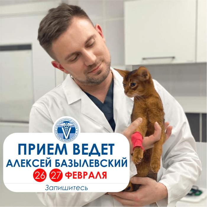 26-27-fevralya-baltiyskaya-zhemchuzhina-bazylevskiy