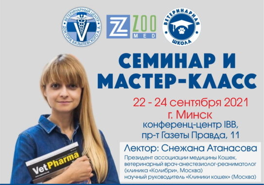 seminar-anesteziolog-i-koshka
