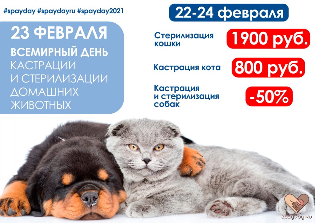 vsemirnyy-den-sterilizacii-i-kastracii-zhivotnyh-2021-2