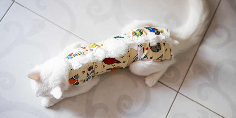 sterilizacia-2