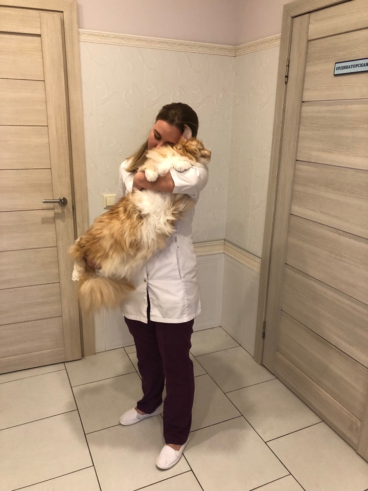 askerko-mariya-vyacheslavovna-veterinarnyy-vrach-4