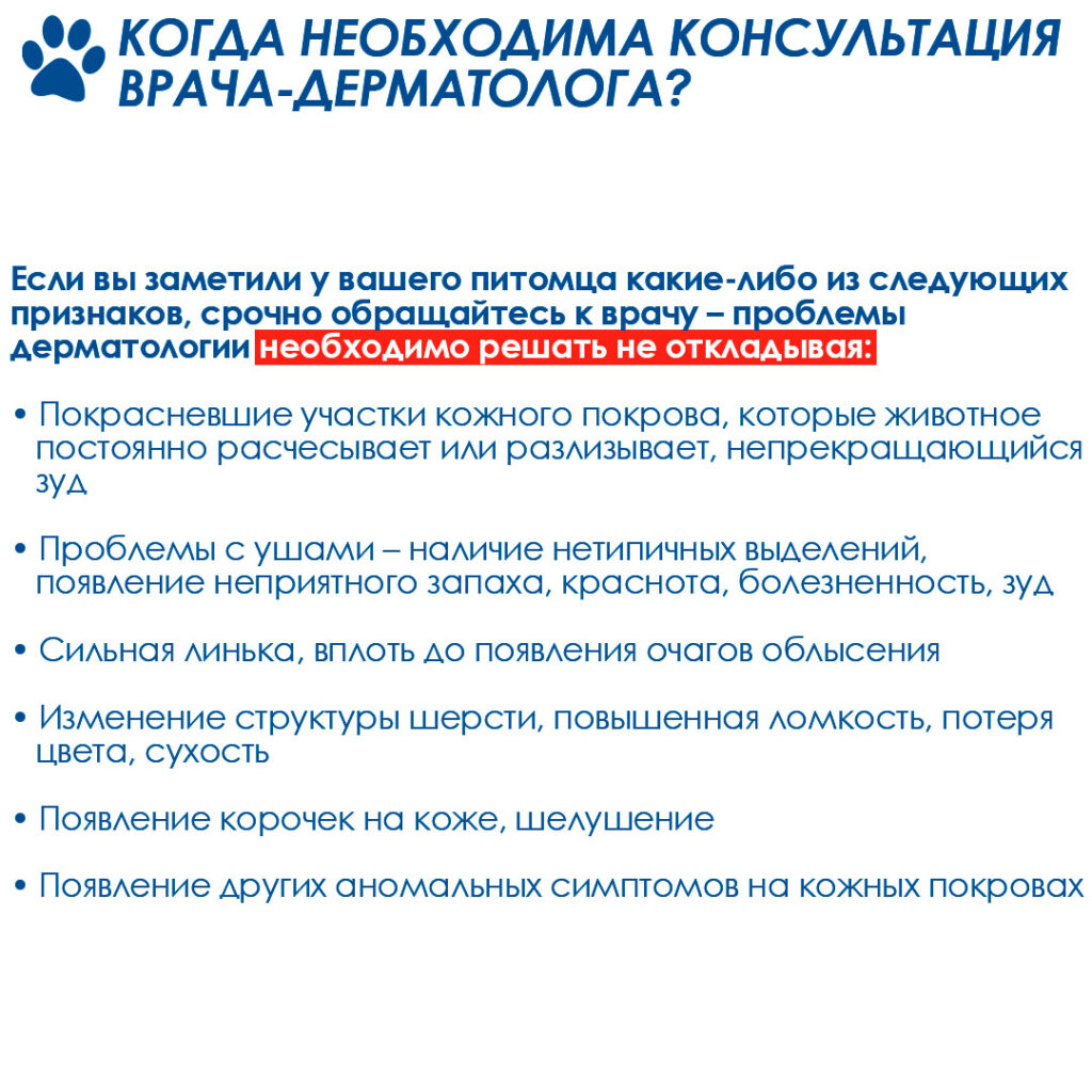 kogda-obrashchatsya-k-dermatologu-2-1024x1024