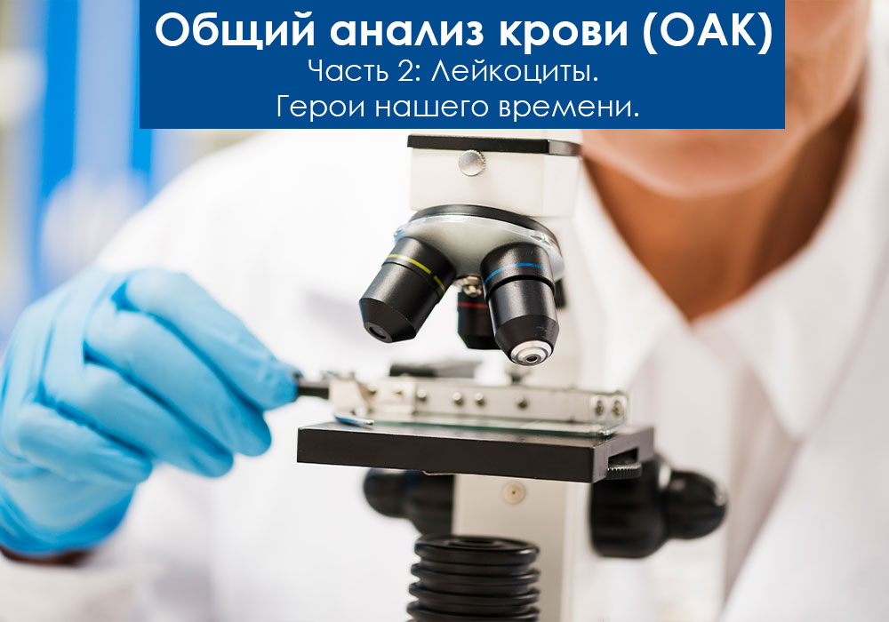Общий анализ крови у животных