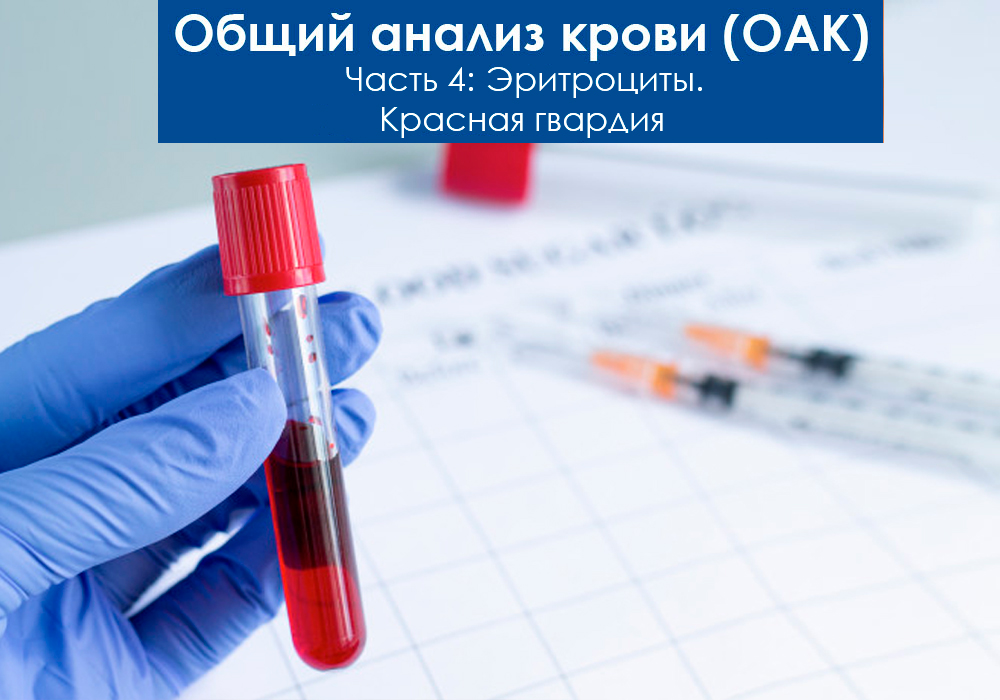 Общий анализ крови