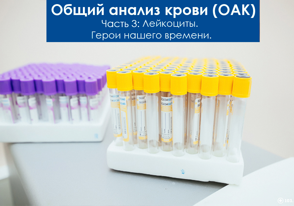 Общий анализ крови