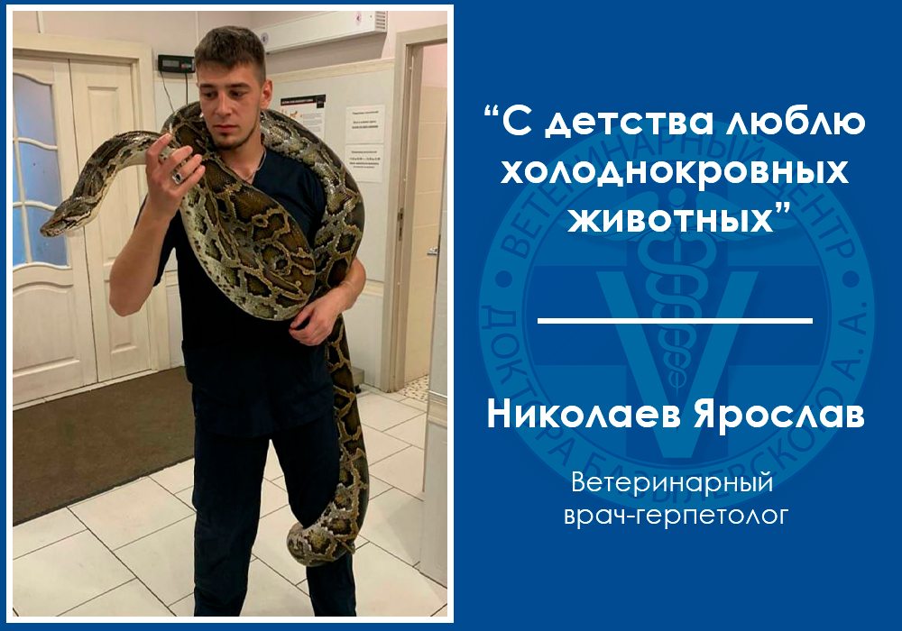intervyu-s-veterinarnym-gerpetologom