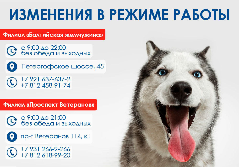 izmenenie-v-rezhime-raboty-filial-baltiyskaya-zhemchuzhina