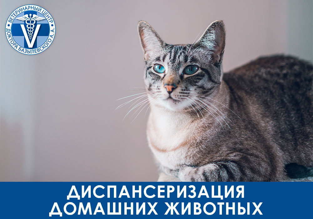 dispanserizaciya-domashnih-zhivotnyh