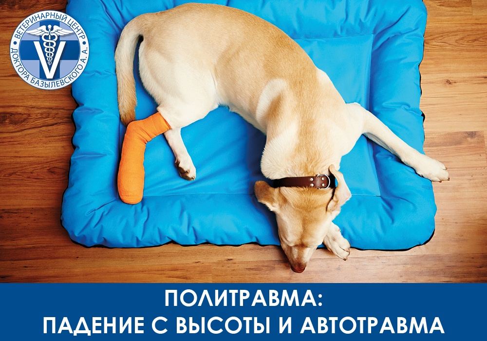 politravma