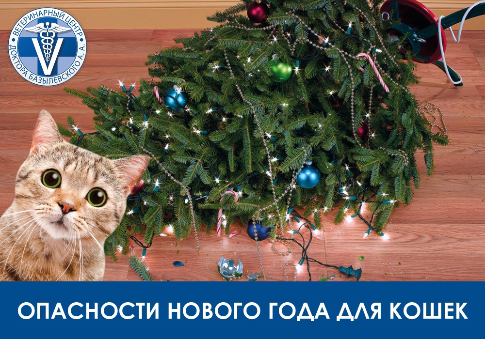 opasnosti-novogo-goda-dlya-koshek