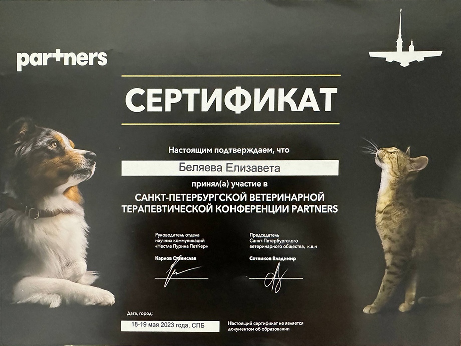 belyaeva-partners