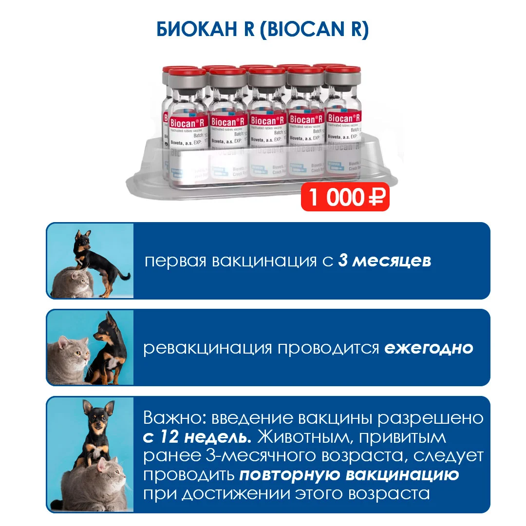 importnye-vakciny-snova-nalichii