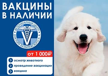 importnye-vakciny-snova-v-nalichii