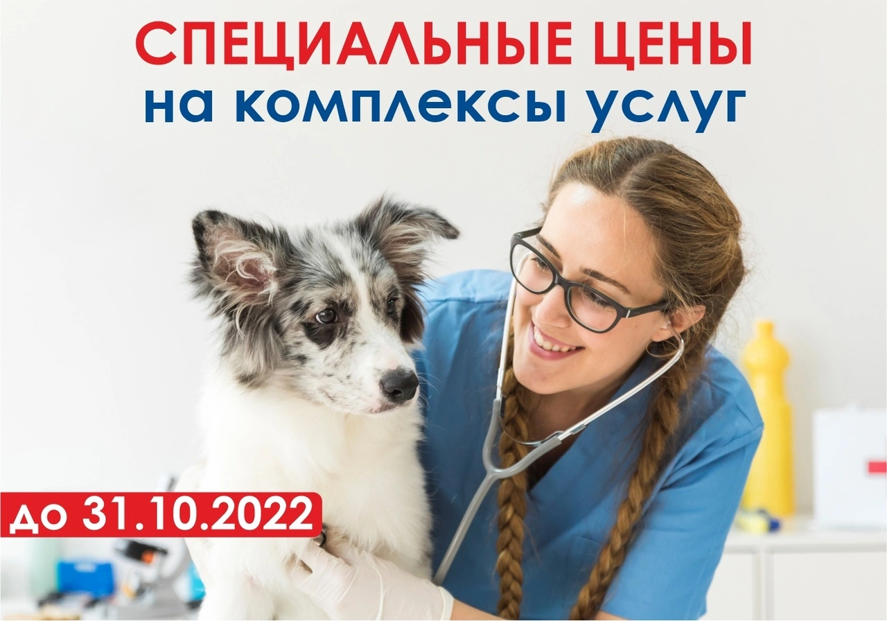 fiksirovannye-ceny-na-kompleksy-uslug