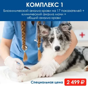 pervyy-kompleks-uslug-dlya-zhivotnyh-300x300