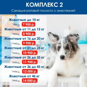 vtoroy-kompleks-uslug-dlya-zhivotnyh-300x300