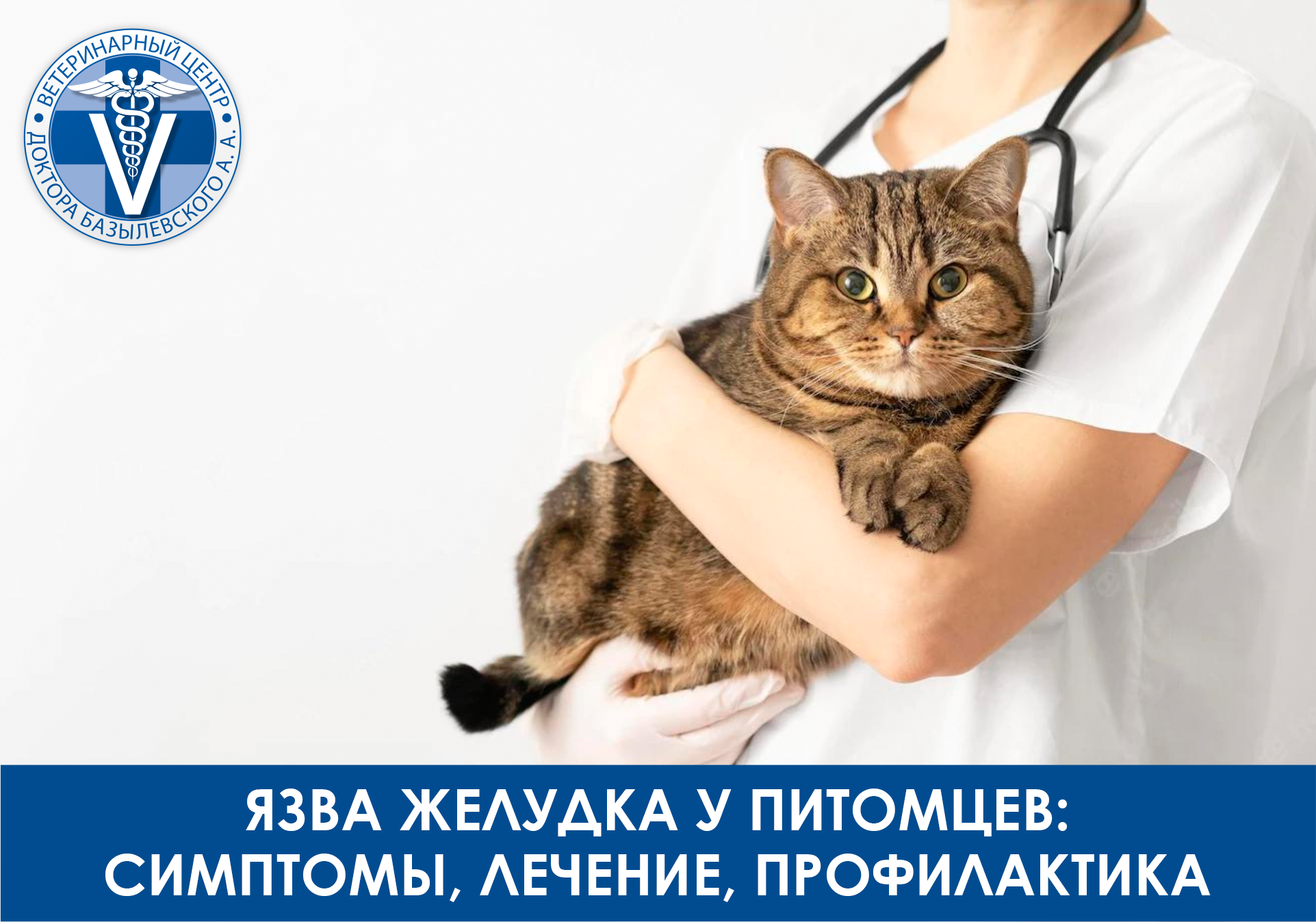 Язва желудка у животных