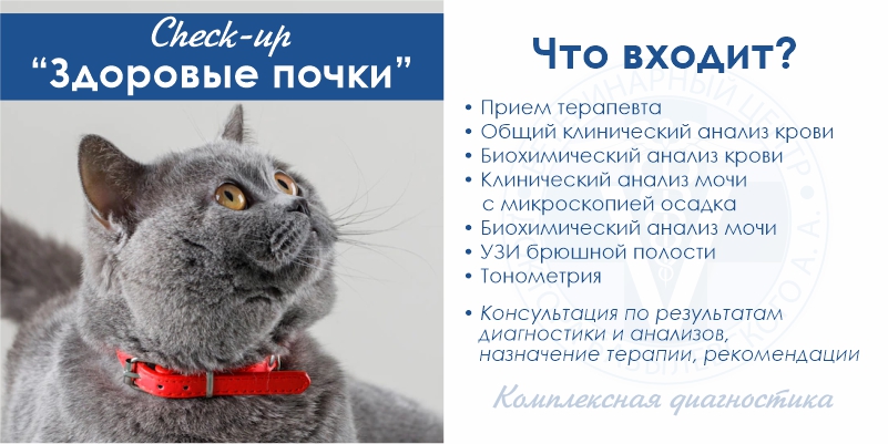 kompleks-zdorovye-pochki-veterinarnyy-centr