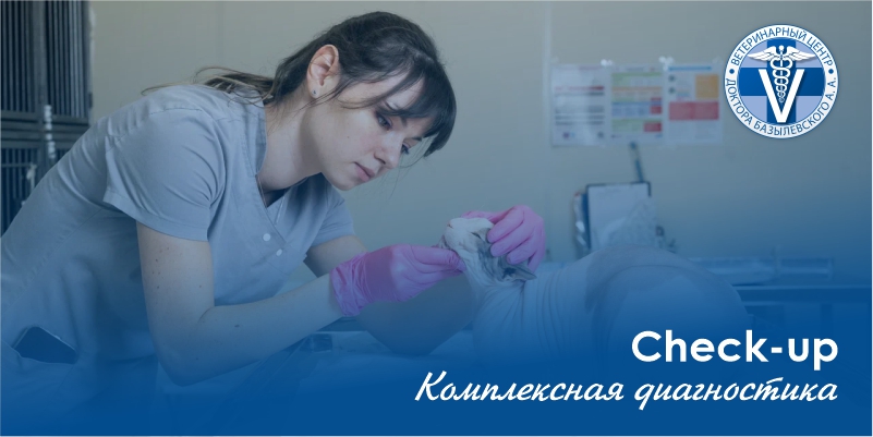 kompleksnaya-diagnostika-domashnih-zhivotnyh