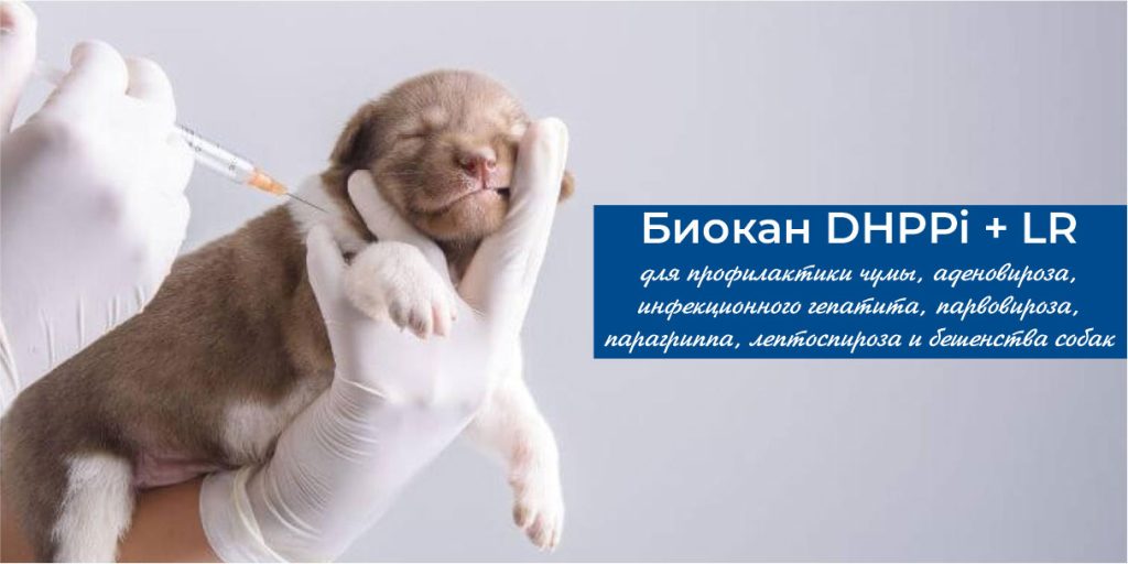 akciya-na-vakcinu-biokan-1024x512