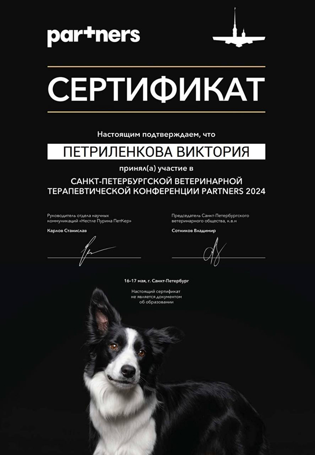 petrilenkova-partners-2024